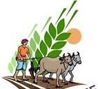 FARMAR